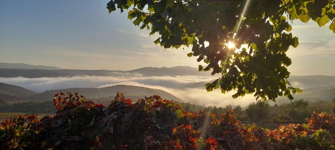 Quinta Alto Da Fraga Villa Vila Nova de Foz Coa Buitenkant foto