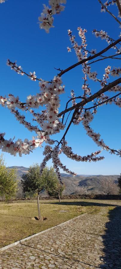Quinta Alto Da Fraga Villa Vila Nova de Foz Coa Buitenkant foto